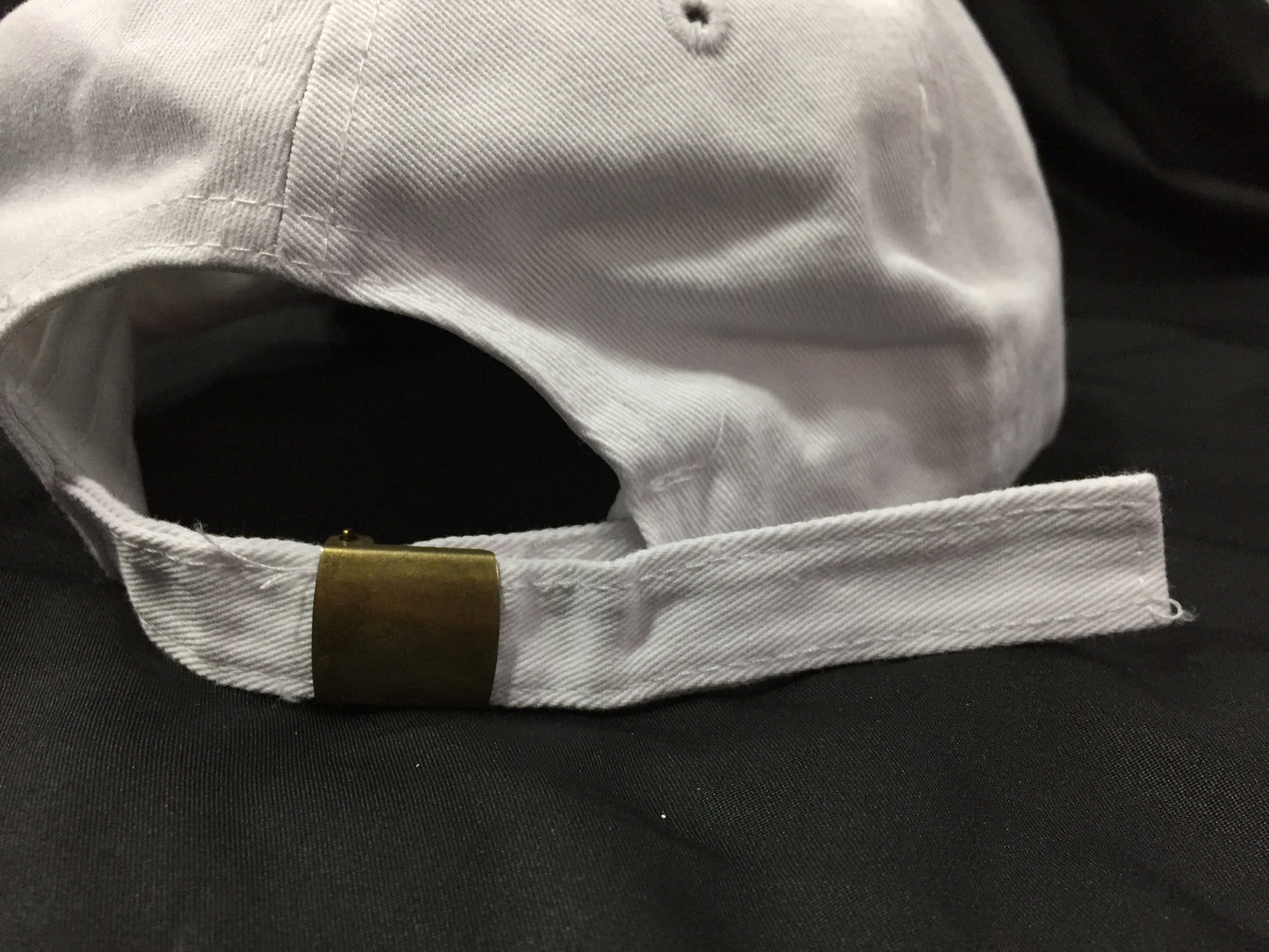 Red/Maroon Palm Tree logo Dad Cap